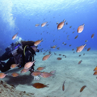 Bautismo de Buceo para dos en Playa Chica del Puerto del Carmen (Lanzarote)