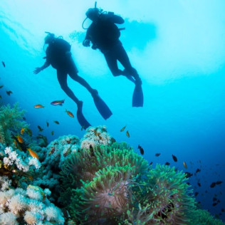 Bautismo de Buceo con Fotos y Vídeos (San Andrés, Tenerife)
