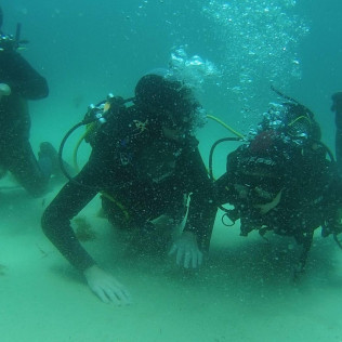 Bautismo de Buceo en Tarifa o La Caleta (Cádiz)