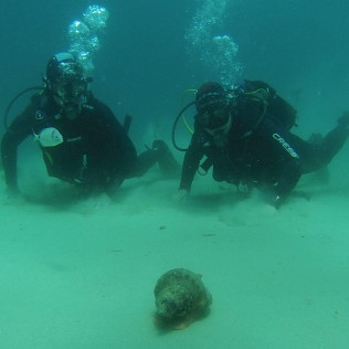 Bautismo de Buceo en Tarifa o La Caleta (Cádiz)