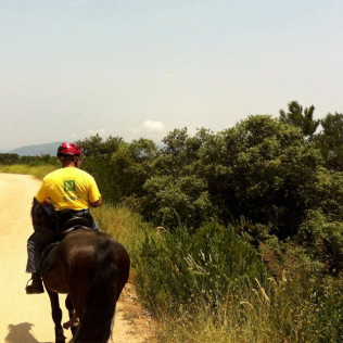 Paseo a Caballo por el Parque Natural de Collserola para dos (Sant Cugat, Barcelona)