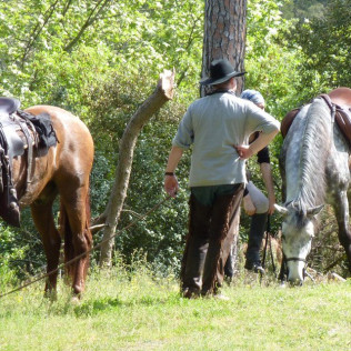 Paseo a Caballo por el Parque Natural de Collserola para dos (Sant Cugat, Barcelona)