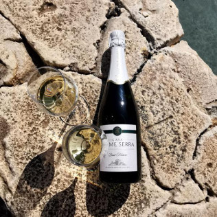 Visita Guiada a Bodega Jaume Serra con Cata de Cavas (Vilanova i la Geltrú, Barcelona)