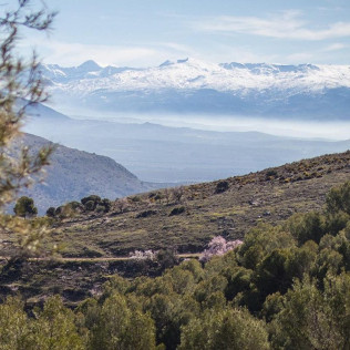 Puesta de Sol a Caballo y Cena Degustación para dos (Granada)