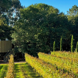 Escapada de 2 Noches en una Cabaña con Jacuzzi, Desayuno y Visita a Viñedos y Bodega (A Coruña)