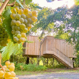 Escapada de 2 Noches en una Cabaña con Jacuzzi, Desayuno y Visita a Viñedos y Bodega (A Coruña)