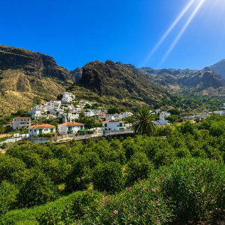 Tour y Degustación en Plantación de Café de Finca Los Castaños (Agaete, Las Palmas)