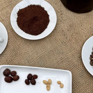 Tour y Degustación en Plantación de Café de Finca Los Castaños (Agaete, Las Palmas)
