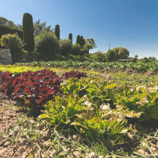 Escapada en Habitación o Cabaña con Cena en Masia Rural Can Caponet (Lliçà d'Amunt, Barcelona)