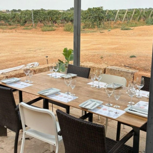 Visita Guiada, Cata de Vinos y Picada en Bodega Can Morgan (Mallorca)