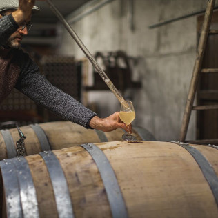 Visita a Celler Can Suriol con Cata de Vino, Cava y Aceite de Oliva para dos (Font-rubí, Barcelona)