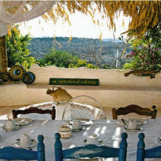 Escapada con Desayuno en Casa Rural Aloe Vera y Visita a Bodegas Perfer con Cata de Vinos y Aperitivos (Almería)
