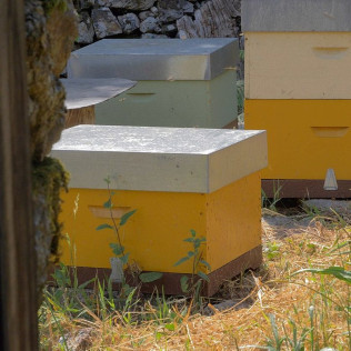 Introducción a la Apicultura y Degustación de Productos de la Colmena para dos en Casa Martín (Fondos de Vega, Asturias)