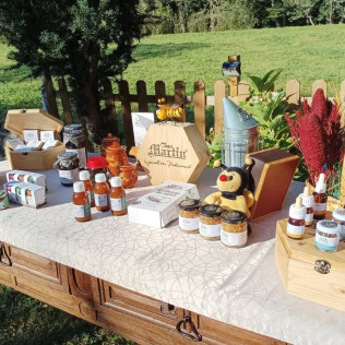 Introducción a la Apicultura y Degustación de Productos de la Colmena para dos en Casa Martín (Fondos de Vega, Asturias)
