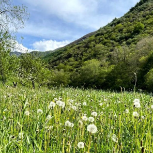 Actividad Familiar: Granjero por un Día en Casa Martín (Fondos de Vega, Asturias)