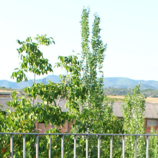 Escapada con Desayuno en Casa Rural El Gaiter (Aguaviva, Teruel)