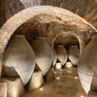Escapada en Casa Rural y Visita con Cata en Bodegas y Viñedos Pedro García (Colmenar de Oreja, Madrid)