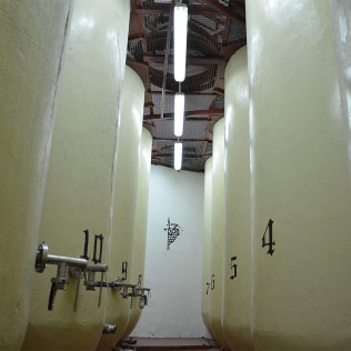 Escapada en Casa Rural y Visita a Bodega Campos de Dulcinea con Cata de Vinos para dos (Toledo)