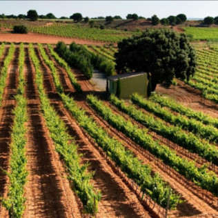 Escapada en Casa Túnel Nido de Águilas con Visita y Cata de Vinos para dos en Bodega Andrés Iniesta (Albacete)