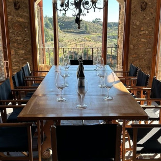 Tour & Tasting: Visita al Castell de Vilarodona y Cata de Vino para dos (Tarragona)