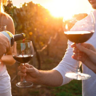 Tour & Tasting: Visita al Castell de Vilarodona y Cata de Vino para dos (Tarragona)