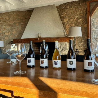 Tour & Tasting: Visita al Castell de Vilarodona y Cata de Vino para dos (Tarragona)
