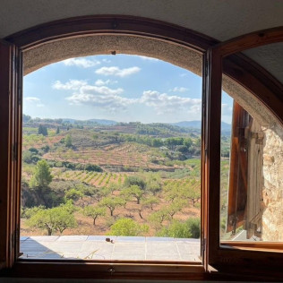Tour & Tasting: Visita al Castell de Vilarodona y Cata de Vino para dos (Tarragona)
