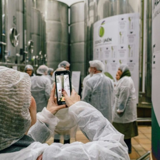 Tras las Puertas de la Almazara: Visita Guiada y Cata de Aceite (Jaén)