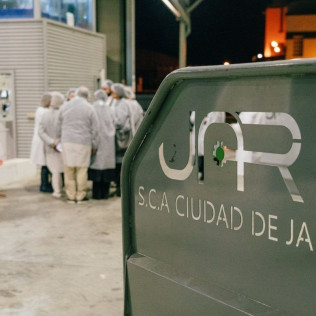 Tras las Puertas de la Almazara: Visita Guiada y Cata de Aceite (Jaén)