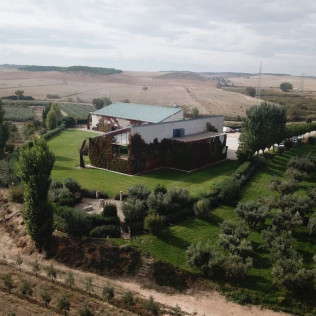 Tour Privado y Cata Degustación para dos en Aceites Artajo (Fontellas, Navarra)