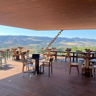 Visita Premium: Visita a LA Almazara y Museo del AOVE con Cata de AOVE y Degustación de Aceites (Ronda, Málaga)