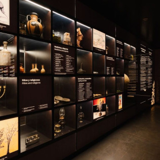 Visita Premium: Visita a LA Almazara y Museo del AOVE con Cata de AOVE y Degustación de Aceites (Ronda, Málaga)