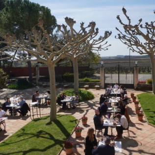 Visita a Bodega con Cata de Vinos e Ibéricos en Caves Nadal (Torrelavit, Barcelona)