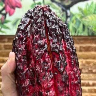 Taller de Cata de Chocolate (Barcelona)
