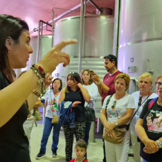 Visita Guiada a Bodegas Santa Margarita con Cata de Vinos y Degustación de Embutidos para dos (Caudete, Albacete)