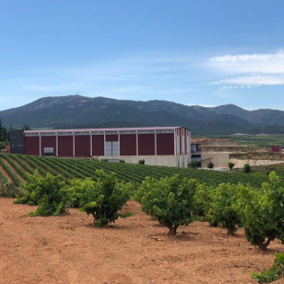 Visita a Cooperativa Vitícola de San José con Cata de Vinos para dos (Aguarón, Zaragoza)