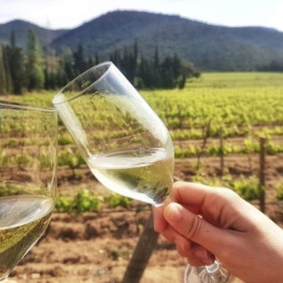 Visita a Bodega y Comida para dos en Masia Serra (Cantallops, Girona)