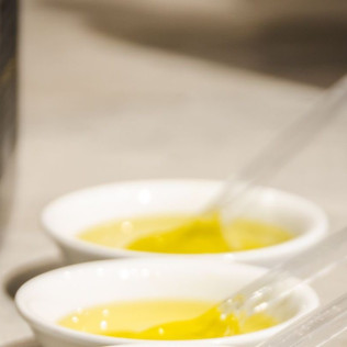 Visita Premium: Visita Guiada a Bodega Mas de Rander y Viñas con Cata de 5 Vinos y Aceite (Torreblanca, Castellón)