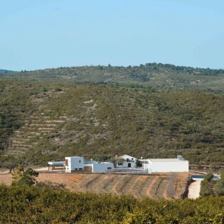 Visita Premium: Visita Guiada a Bodega Mas de Rander y Viñas con Cata de 5 Vinos y Aceite (Torreblanca, Castellón)