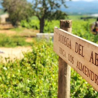 Visita a Bodega del Abad con Cata de 4 Vinos para dos (Carracedelo, León)