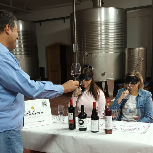 Visita a las Bodegas Palacio de Lerma con Cata de 4 Vinos a Ciegas (Lerma, Burgos)