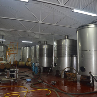 Visita a las Bodegas Palacio de Lerma con Cata de 4 Vinos a Ciegas (Lerma, Burgos)