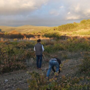 Visita a las Bodegas Palacio de Lerma con Cata de 4 Vinos a Ciegas (Lerma, Burgos)