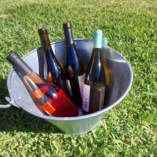 Cata de Vinos y Productos Locales (Mallorca)