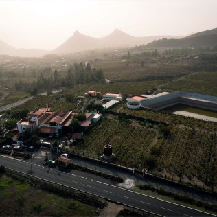 Visita a Bodegas Reverón con Cata de Vinos y Picoteo (Villaflor, Tenerife)