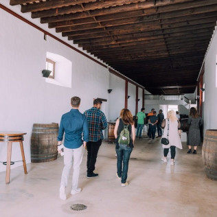 Visita Guiada por Viñedos al Atardecer y Cata con Maridaje en Finca Testeina - Bodegas Vega de Yuco (Masdache, Lanzarote)