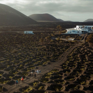 Visita Guiada por Viñedos al Atardecer y Cata con Maridaje en Finca Testeina - Bodegas Vega de Yuco (Masdache, Lanzarote)