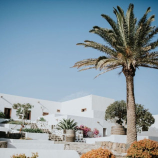 Visita Guiada por Viñedos al Atardecer y Cata con Maridaje en Finca Testeina - Bodegas Vega de Yuco (Masdache, Lanzarote)