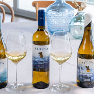 Visita a Bodegas Vionta con Cata de Vinos y Quesos para dos (Meaño, Pontevedra)