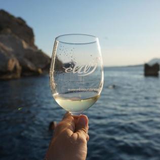 Salida Privada en Barco con Cata de Vinos por las Illes Medes (L’Estartit, Girona)
